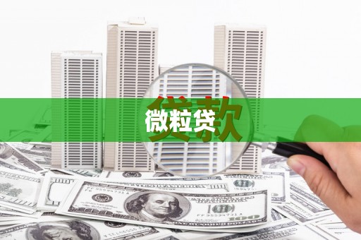 魏县微粒贷