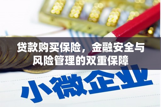 魏县贷款购买保险，金融安全与风险管理的双重保障