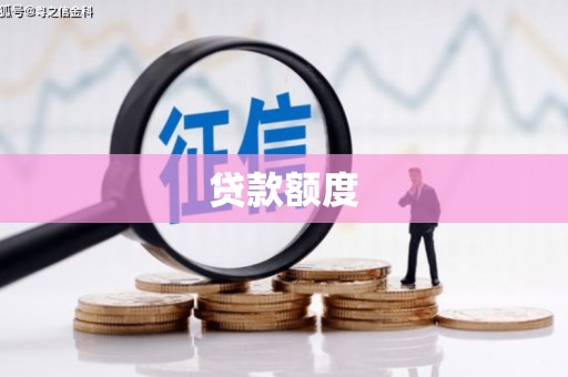 魏县贷款额度