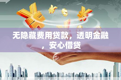 魏县无隐藏费用贷款，透明金融，安心借贷