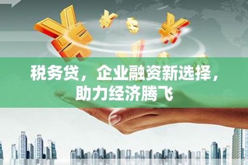 魏县税务贷，企业融资新选择，助力经济腾飞