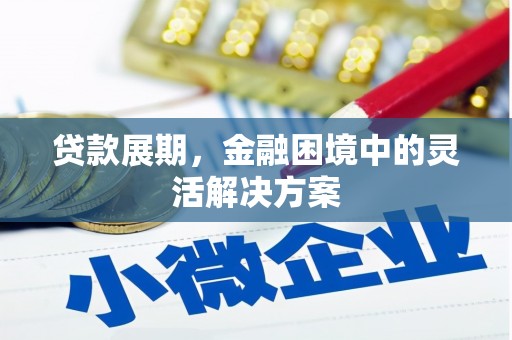 魏县贷款展期，金融困境中的灵活解决方案