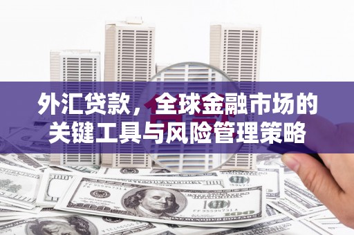 魏县外汇贷款，全球金融市场的关键工具与风险管理策略