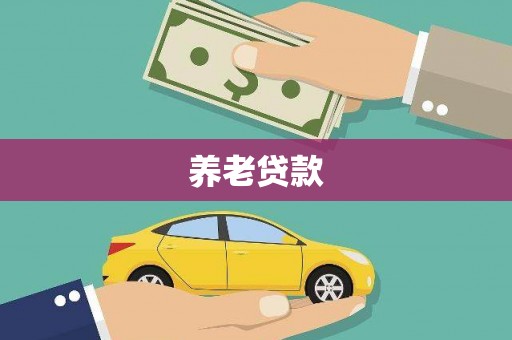 魏县养老贷款