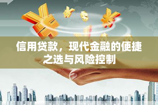 魏县信用贷款，现代金融的便捷之选与风险控制