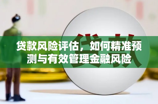 魏县贷款风险评估，如何精准预测与有效管理金融风险