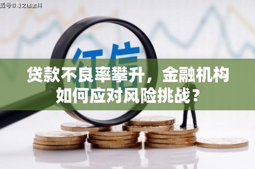 魏县贷款不良率攀升，金融机构如何应对风险挑战？