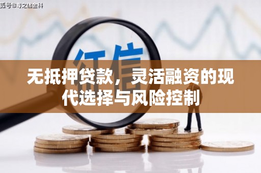 魏县无抵押贷款，灵活融资的现代选择与风险控制