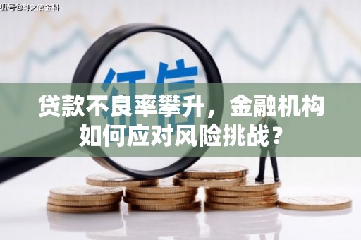 魏县贷款不良率攀升，金融机构如何应对风险挑战？