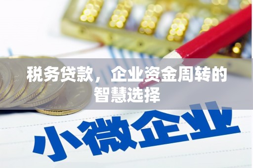 魏县税务贷款，企业资金周转的智慧选择