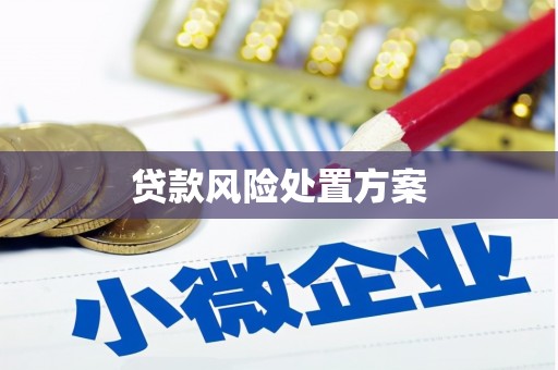魏县贷款风险处置方案