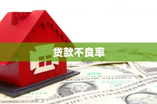 魏县贷款不良率