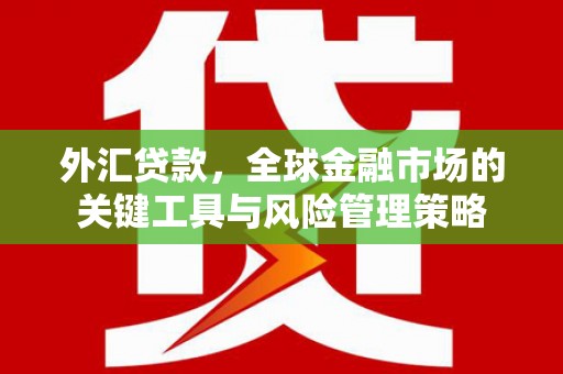 魏县外汇贷款，全球金融市场的关键工具与风险管理策略