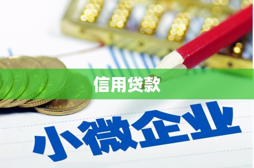 魏县信用贷款