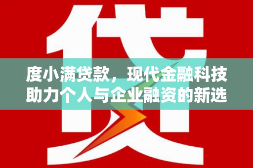 魏县度小满贷款，现代金融科技助力个人与企业融资的新选择
