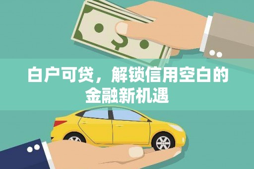 魏县白户可贷，解锁信用空白的金融新机遇