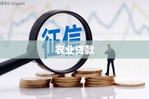 魏县农业贷款