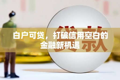 魏县白户可贷，打破信用空白的金融新机遇