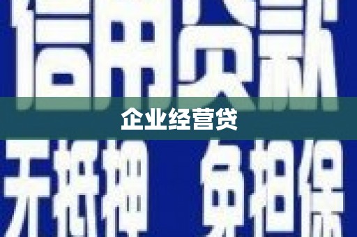魏县企业经营贷