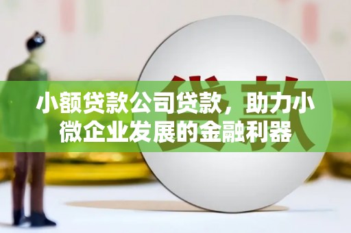 魏县小额贷款公司贷款，助力小微企业发展的金融利器