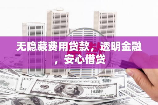 魏县无隐藏费用贷款，透明金融，安心借贷