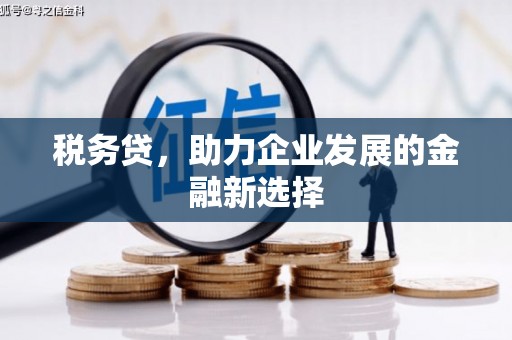 魏县税务贷，助力企业发展的金融新选择