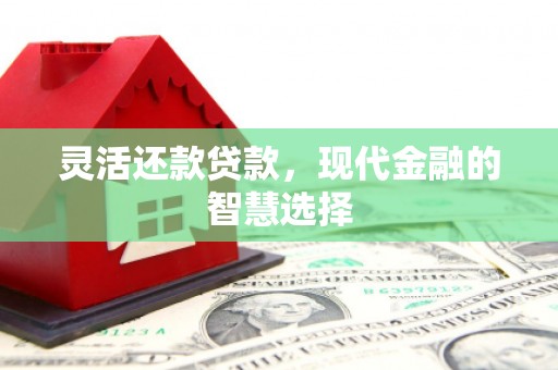 魏县灵活还款贷款，现代金融的智慧选择