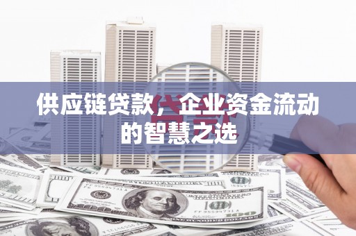 魏县供应链贷款，企业资金流动的智慧之选
