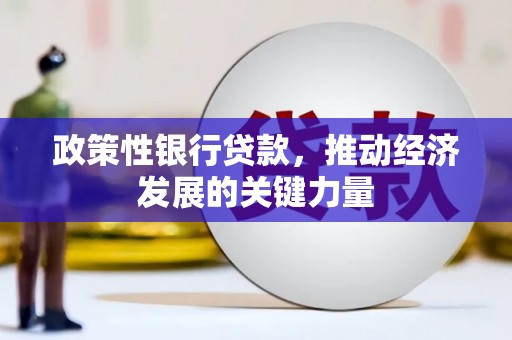 魏县政策性银行贷款，推动经济发展的关键力量