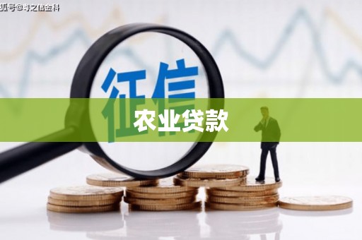 魏县农业贷款