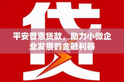 魏县平安普惠贷款，助力小微企业发展的金融利器