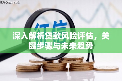 魏县深入解析贷款风险评估，关键步骤与未来趋势