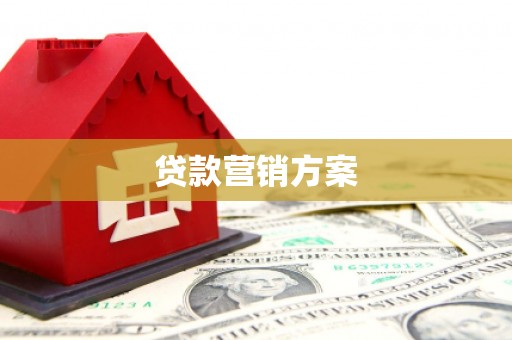 魏县贷款营销方案