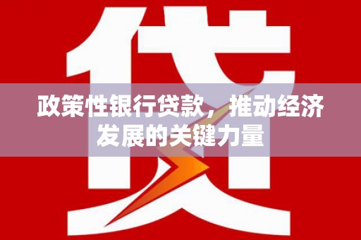 魏县政策性银行贷款，推动经济发展的关键力量