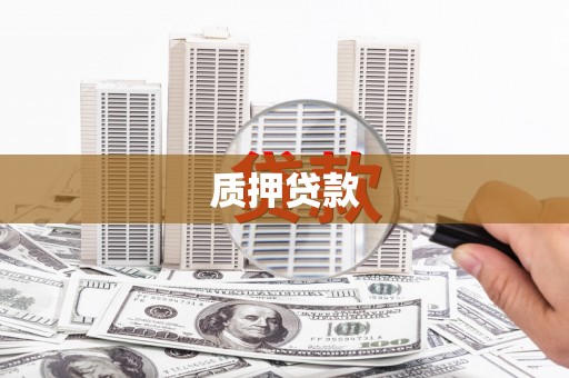 魏县质押贷款