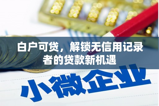 魏县白户可贷，解锁无信用记录者的贷款新机遇
