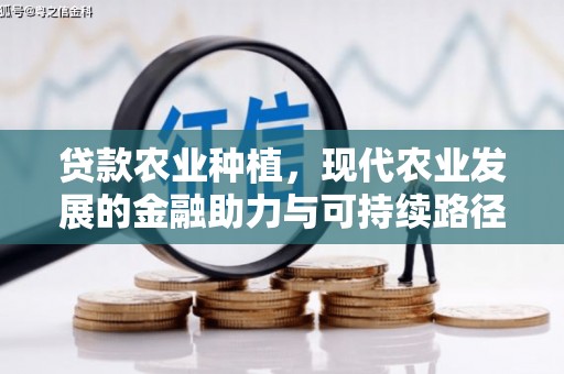 魏县贷款农业种植，现代农业发展的金融助力与可持续路径