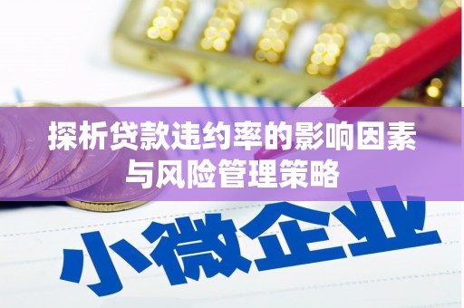 魏县探析贷款违约率的影响因素与风险管理策略