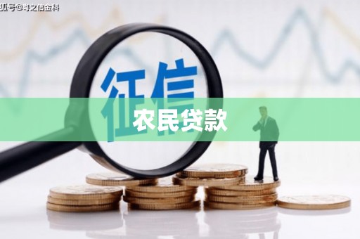 魏县农民贷款