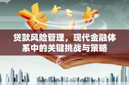 魏县贷款风险管理，现代金融体系中的关键挑战与策略