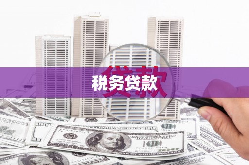 魏县税务贷款