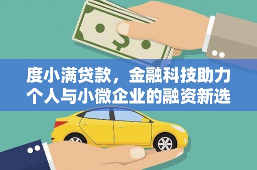 魏县度小满贷款，金融科技助力个人与小微企业的融资新选择