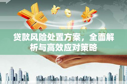 魏县贷款风险处置方案，全面解析与高效应对策略
