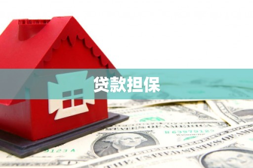 魏县贷款担保