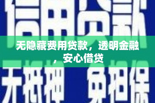 魏县无隐藏费用贷款，透明金融，安心借贷