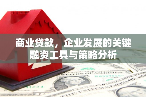 魏县商业贷款，企业发展的关键融资工具与策略分析