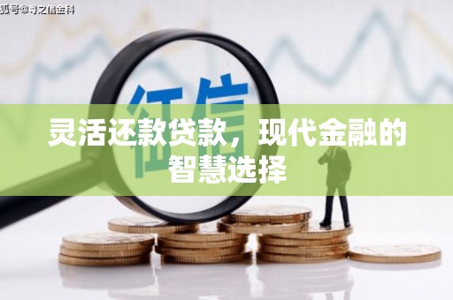 魏县灵活还款贷款，现代金融的智慧选择