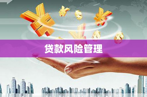 魏县贷款风险管理