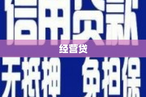 魏县经营贷