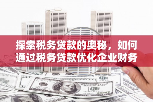 魏县探索税务贷款的奥秘，如何通过税务贷款优化企业财务